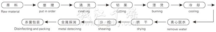 脱水蔬菜带式干燥工艺流程